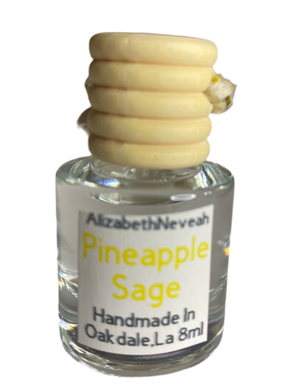 Scented Car Air Freshner - long lasting Car Diffusers
