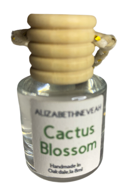 Scented Car Air Freshner - long lasting Car Diffusers