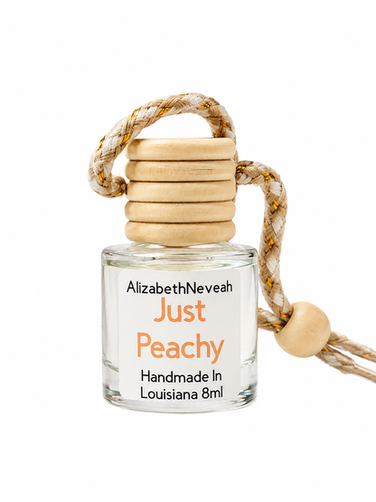 Scented Car Air Freshner - long lasting Car Diffusers